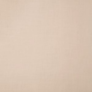 Tela Lisa Beige color piel.
