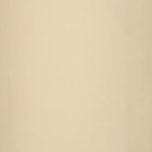 Tela Lisa Beige claro.